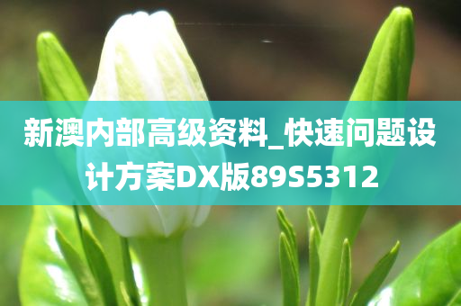 新澳内部高级资料_快速问题设计方案DX版89S5312