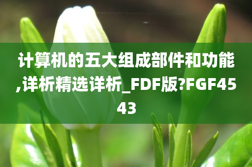 计算机的五大组成部件和功能,详析精选详析_FDF版?FGF4543