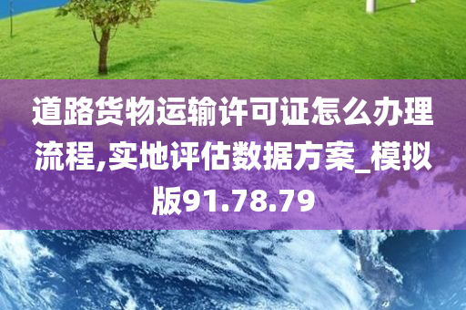 道路货物运输许可证怎么办理流程,实地评估数据方案_模拟版91.78.79