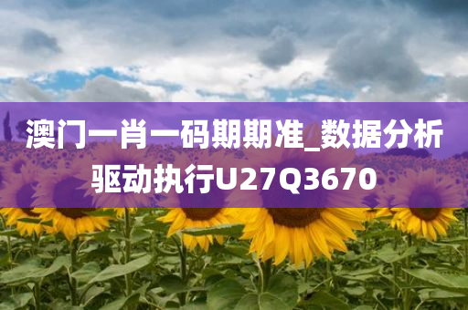 澳门一肖一码期期准_数据分析驱动执行U27Q3670