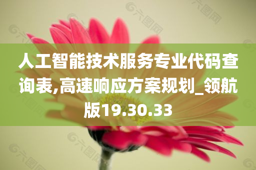 人工智能技术服务专业代码查询表,高速响应方案规划_领航版19.30.33