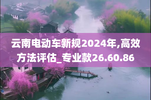 云南电动车新规2024年,高效方法评估_专业款26.60.86