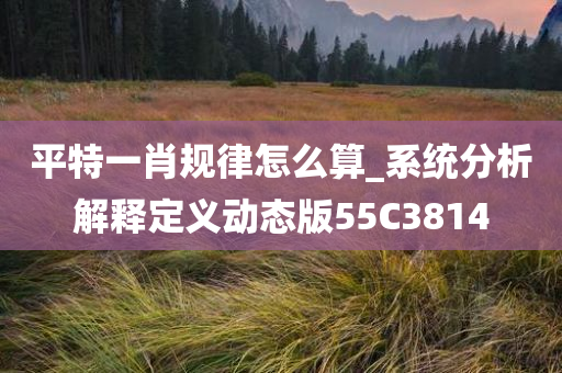 平特一肖规律怎么算_系统分析解释定义动态版55C3814