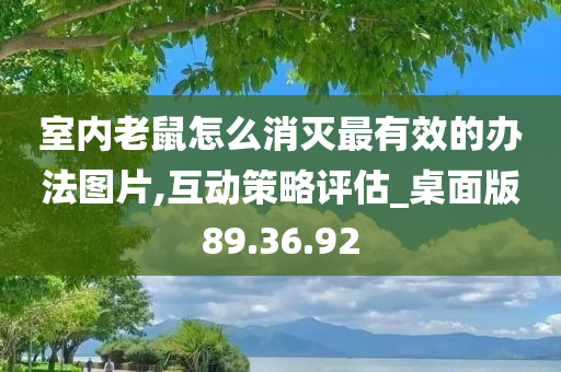 室内老鼠怎么消灭最有效的办法图片,互动策略评估_桌面版89.36.92