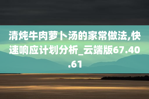 清炖牛肉萝卜汤的家常做法,快速响应计划分析_云端版67.40.61