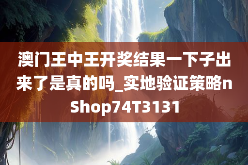 澳门王中王开奖结果一下子出来了是真的吗_实地验证策略nShop74T3131