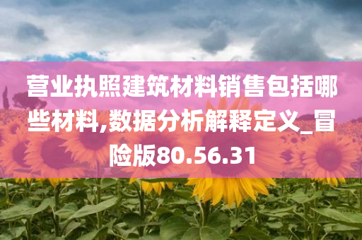 营业执照建筑材料销售包括哪些材料,数据分析解释定义_冒险版80.56.31