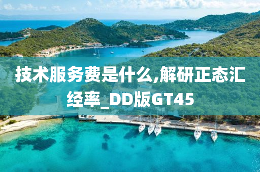 技术服务费是什么,解研正态汇经率_DD版GT45