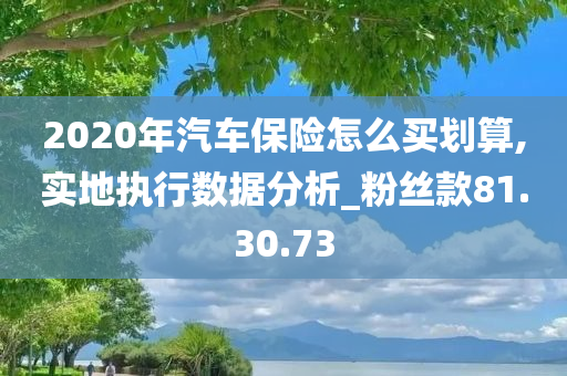 2020年汽车保险怎么买划算,实地执行数据分析_粉丝款81.30.73