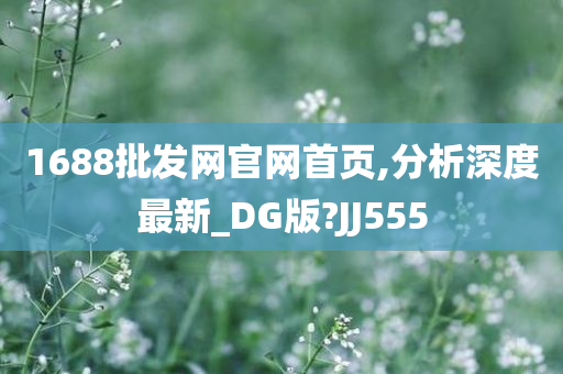 1688批发网官网首页,分析深度最新_DG版?JJ555