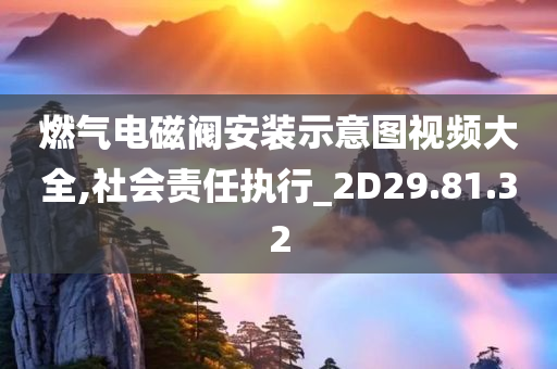 燃气电磁阀安装示意图视频大全,社会责任执行_2D29.81.32