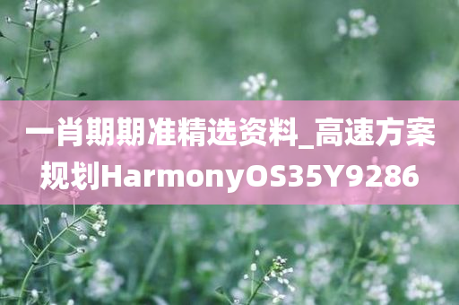 一肖期期准精选资料_高速方案规划HarmonyOS35Y9286