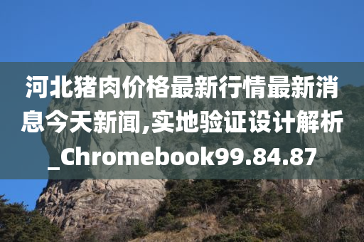 河北猪肉价格最新行情最新消息今天新闻,实地验证设计解析_Chromebook99.84.87