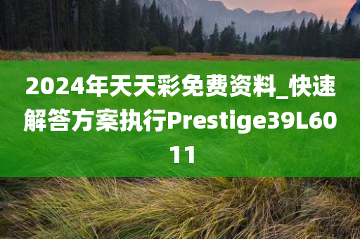 2024年天天彩免费资料_快速解答方案执行Prestige39L6011