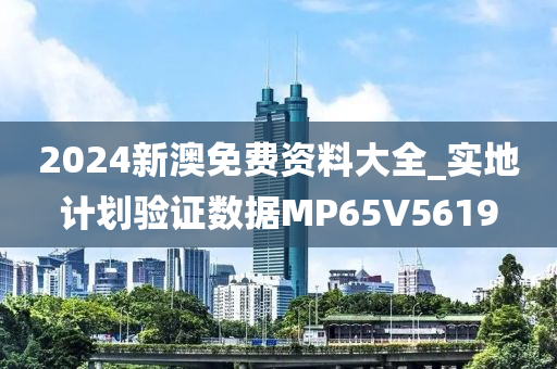 2024新澳免费资料大全_实地计划验证数据MP65V5619