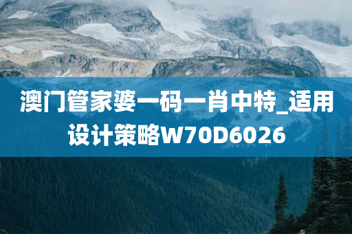 澳门管家婆一码一肖中特_适用设计策略W70D6026