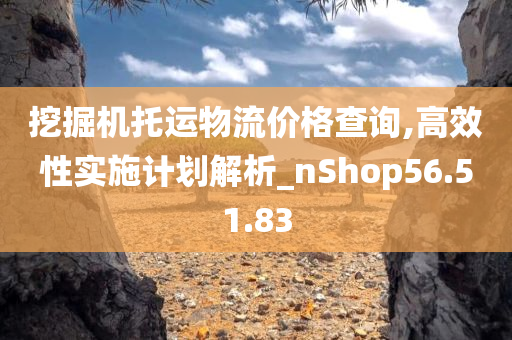 挖掘机托运物流价格查询,高效性实施计划解析_nShop56.51.83