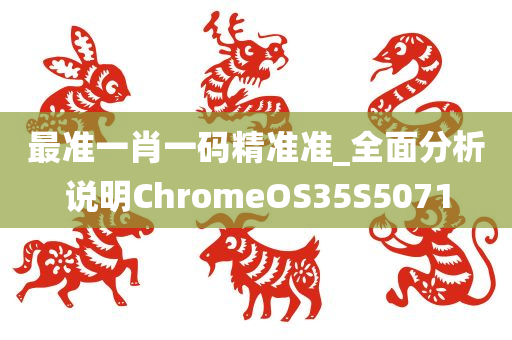 最准一肖一码精准准_全面分析说明ChromeOS35S5071