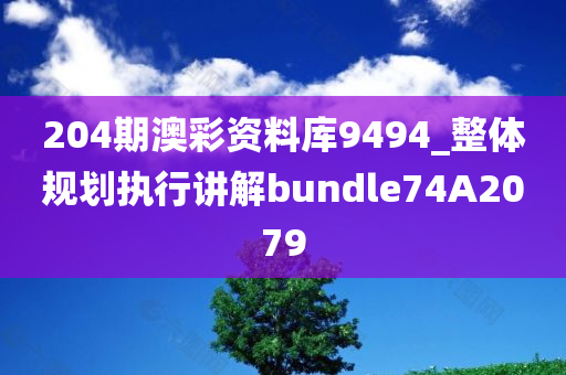 204期澳彩资料库9494_整体规划执行讲解bundle74A2079