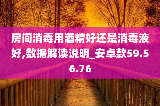 房间消毒用酒精好还是消毒液好,数据解读说明_安卓款59.56.76