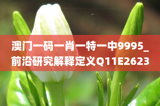 澳门一码一肖一特一中9995_前沿研究解释定义Q11E2623