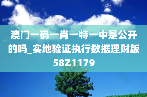 澳门一码一肖一特一中是公开的吗_实地验证执行数据理财版58Z1179