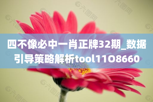 四不像必中一肖正牌32期_数据引导策略解析tool11O8660