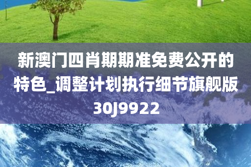 新澳门四肖期期准免费公开的特色_调整计划执行细节旗舰版30J9922