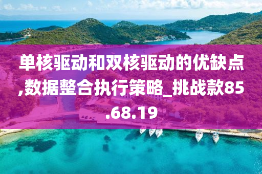 单核驱动和双核驱动的优缺点,数据整合执行策略_挑战款85.68.19