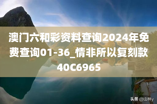 澳门六和彩资料查询2024年免费查询01-36_情非所以复刻款40C6965