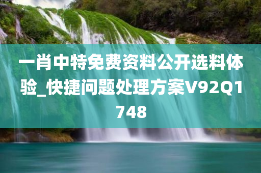 一肖中特免费资料公开选料体验_快捷问题处理方案V92Q1748