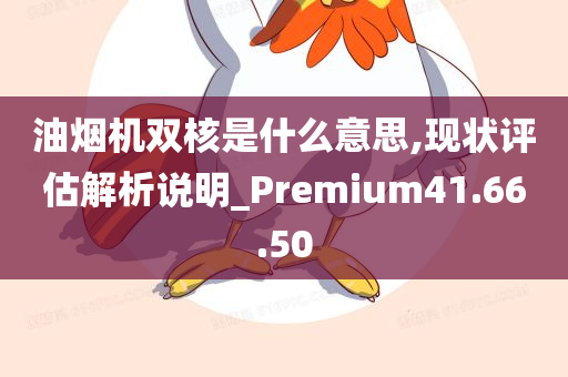 油烟机双核是什么意思,现状评估解析说明_Premium41.66.50