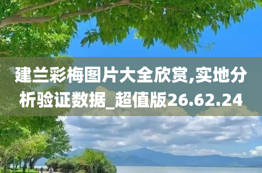 建兰彩梅图片大全欣赏,实地分析验证数据_超值版26.62.24