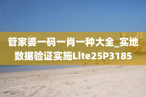 管家婆一码一肖一种大全_实地数据验证实施Lite25P3185