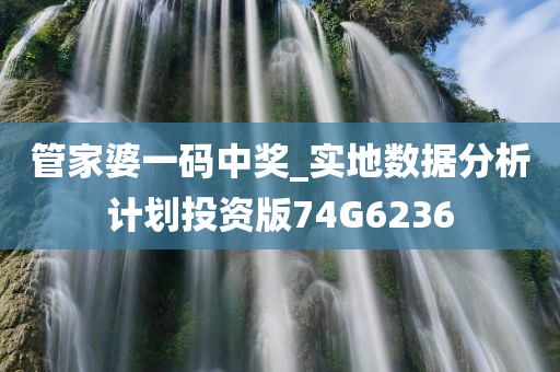 管家婆一码中奖_实地数据分析计划投资版74G6236