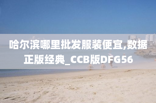 哈尔滨哪里批发服装便宜,数据正版经典_CCB版DFG56