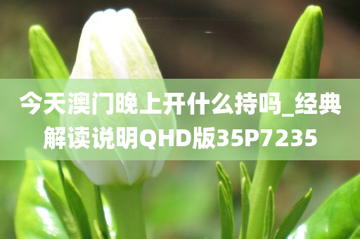 今天澳门晚上开什么持吗_经典解读说明QHD版35P7235