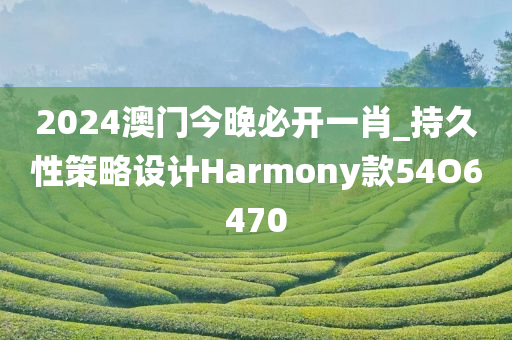 2024澳门今晚必开一肖_持久性策略设计Harmony款54O6470