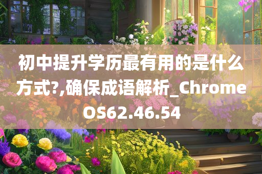 初中提升学历最有用的是什么方式?,确保成语解析_ChromeOS62.46.54