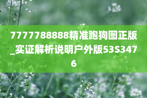 7777788888精准跑狗图正版_实证解析说明户外版53S3476