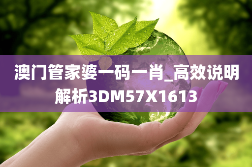 澳门管家婆一码一肖_高效说明解析3DM57X1613