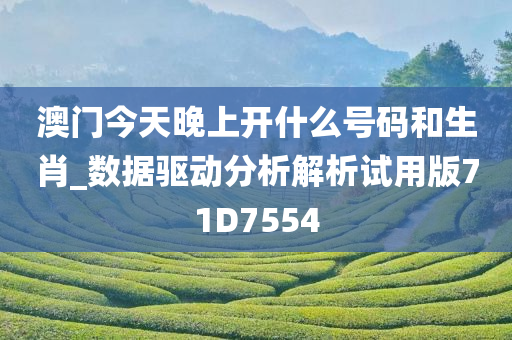 澳门今天晚上开什么号码和生肖_数据驱动分析解析试用版71D7554