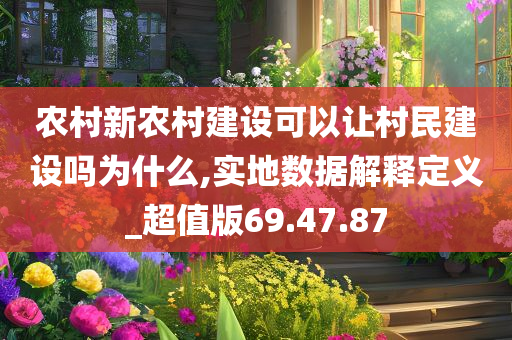 农村新农村建设可以让村民建设吗为什么,实地数据解释定义_超值版69.47.87