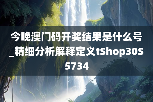 今晚澳门码开奖结果是什么号_精细分析解释定义tShop30S5734