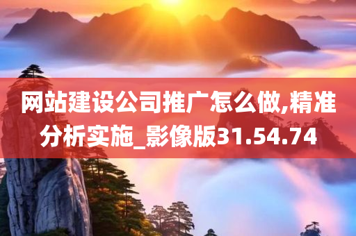 网站建设公司推广怎么做,精准分析实施_影像版31.54.74