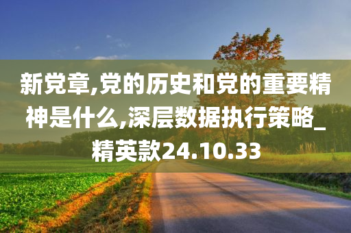 新党章,党的历史和党的重要精神是什么,深层数据执行策略_精英款24.10.33