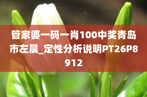 管家婆一码一肖100中奖青岛市左晨_定性分析说明PT26P8912