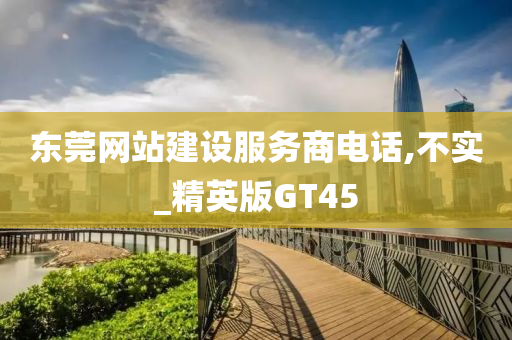 东莞网站建设服务商电话,不实_精英版GT45