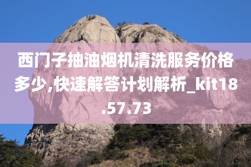 西门子抽油烟机清洗服务价格多少,快速解答计划解析_kit18.57.73