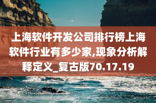 上海软件开发公司排行榜上海软件行业有多少家,现象分析解释定义_复古版70.17.19